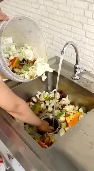 Kitchen Sink Food Waste Disposal Bone Crusher